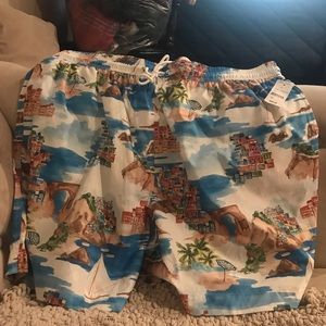 Brooks Brothers swim trunks !!!Firm